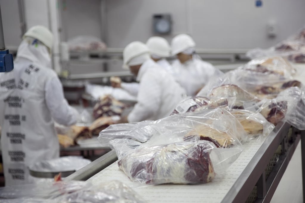 Imagen de archivo de trabajadores procesando carne en una planta agroindustrial.
