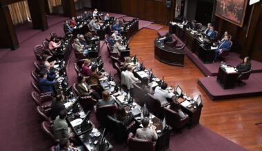 Sesión de la Cámara de Diputados de San Luis durante el debate de la reforma judicial.