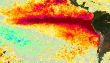 Imagen contextual de archivo que muestra anomalías de temperatura en el océano Pacífico asociadas con El Niño.