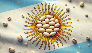 Ilustración contextual de granos de soja sobre los colores de la bandera argentina.