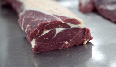 Imagen de archivo de un corte de carne, producto relacionado con las auditorías sanitarias internacionales.