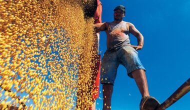 Imagen contextual de un trabajador descargando granos en una explotación agrícola.
