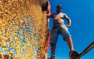 Imagen contextual de un trabajador descargando granos en una explotación agrícola.